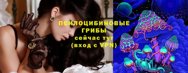 гашик Покачи