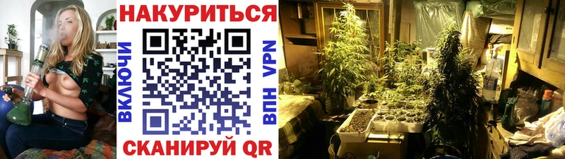 Конопля тримм  Серафимович 